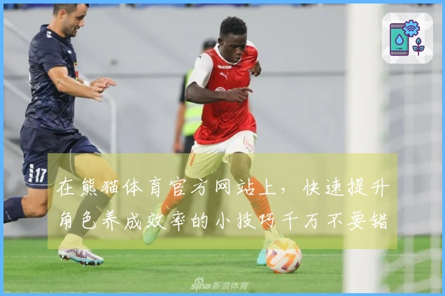 在熊猫体育官方网站上，快速提升角色养成效率的小技巧千万不要错过！
