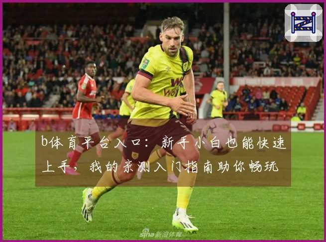 b体育平台入口：新手小白也能快速上手，我的亲测入门指南助你畅玩！